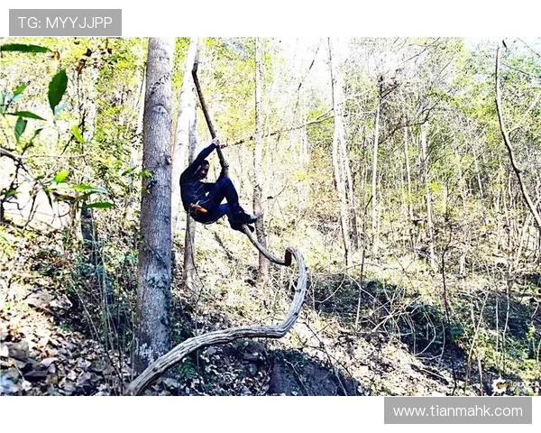 南京攀岩队战术表现数据分析揭示训练与比赛的关键因素